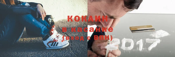 шишки Алексеевка