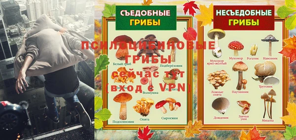 шишки Алексеевка