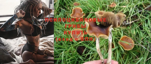 шишки Алексеевка