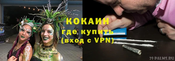 шишки Алексеевка
