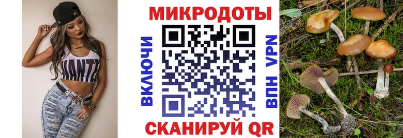 Псилоцибиновые грибы прущие грибы  мориарти состав  Беслан 